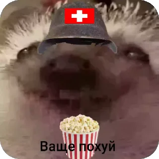 🦔 emoji Ежиная империя Telegram sticker 11 of 25