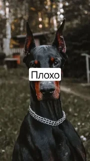 Sticker from Я не могу печатать)