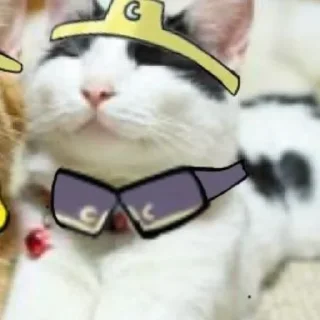 😿 emoji Найm дрим Telegram sticker 11 of 97