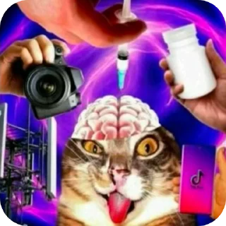 🐱 emoji Доза Telegram sticker 18 of 53