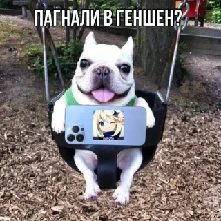 📱 emoji собака бульдод Telegram sticker 7 of 28