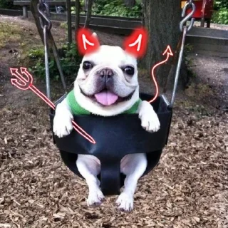 🌟 emoji собака бульдод Telegram sticker 11 of 28