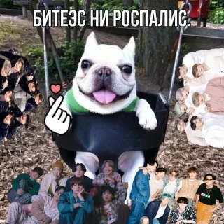 🌟 emoji собака бульдод Telegram sticker 20 of 28