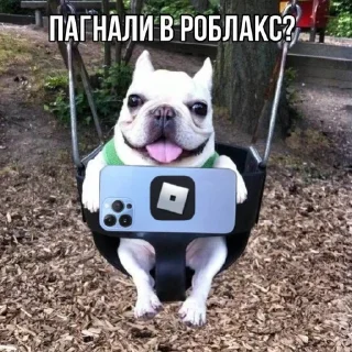 📱 emoji собака бульдод Telegram sticker 6 of 28