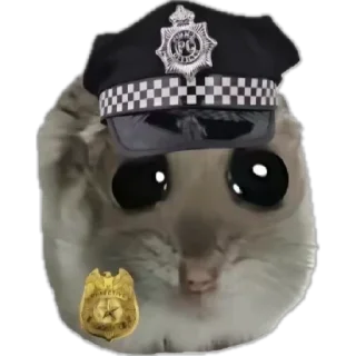 👮‍♂️ emoji грустный хомяк Telegram sticker 24 of 30