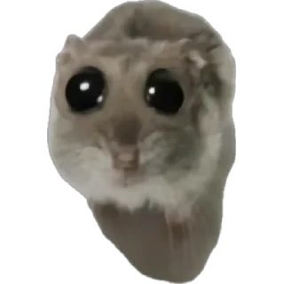 🐹 emoji грустный хомяк Telegram sticker 13 of 30