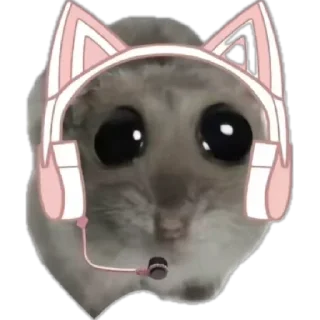 😽 emoji грустный хомяк Telegram sticker 11 of 30