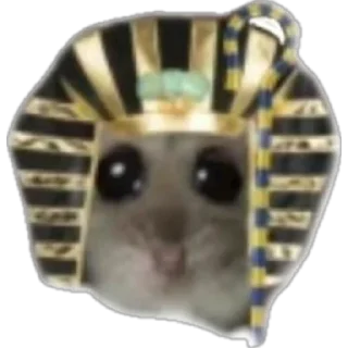 🌝 emoji грустный хомяк Telegram sticker 22 of 30