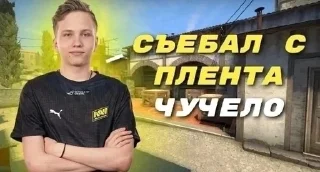 Sticker from птицы