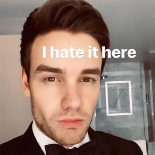 😡 emoji liam PAYNE Telegram sticker 15 of 41