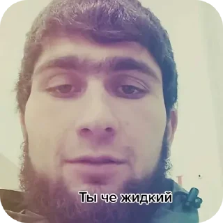🤳 emoji Суета Telegram sticker 22 of 95
