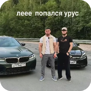 🚗 emoji Суета Telegram sticker 21 of 95