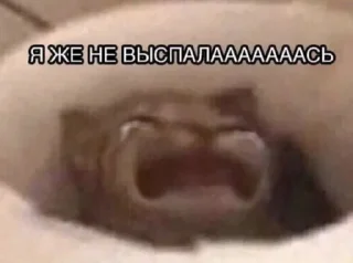 😭 emoji ТЫ ЛОХ Telegram sticker 24 of 120