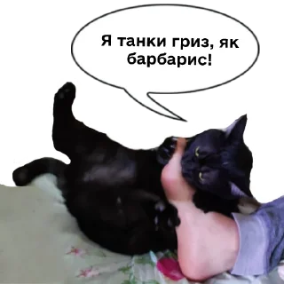 💪 emoji Колбаска Telegram sticker 11 of 44