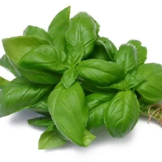🌿 emoji колбаска Telegram sticker 10 of 52
