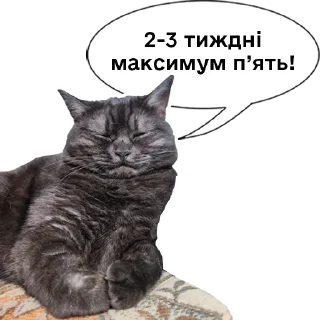 🙈 emoji Колбаска Telegram sticker 13 of 44
