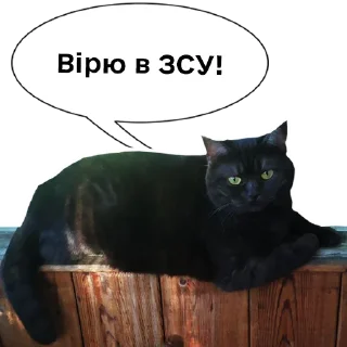 💪 emoji Колбаска Telegram sticker 16 of 44