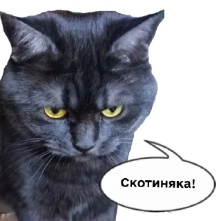 🤬 emoji Колбаска Telegram sticker 9 of 44