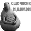🌚 emoji Ждун Telegram sticker 13 of 42