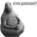 🤔 emoji Ждун Telegram sticker 19 of 42