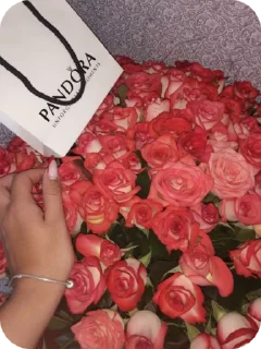 Sticker from Цветы