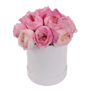 💐 emoji Цветы Telegram sticker 8 of 81