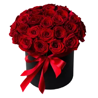 🌹 emoji Цветы Telegram sticker 12 of 81