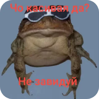 👓 emoji Жабы рулят Telegram sticker 15 of 16
