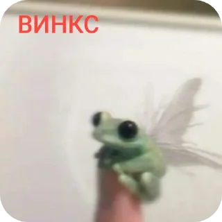 🐦 emoji Жабы рулят Telegram sticker 12 of 16