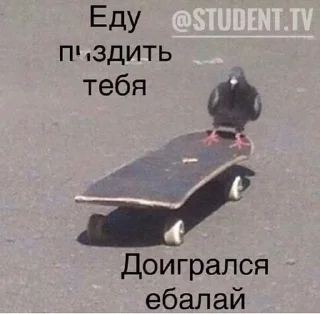 Sticker from Ты что Даун