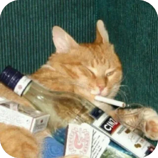 🫥 emoji гав гав🐈‍⬛ Telegram sticker 4 of 20