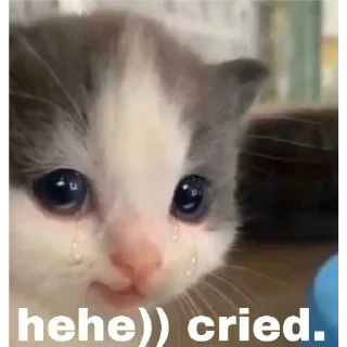 😭 emoji кіт Telegram sticker 8 of 8
