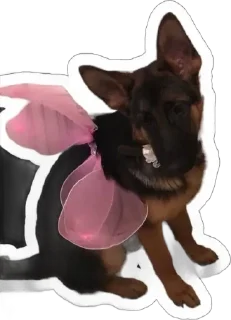 Sticker from Gerda_dog🐺