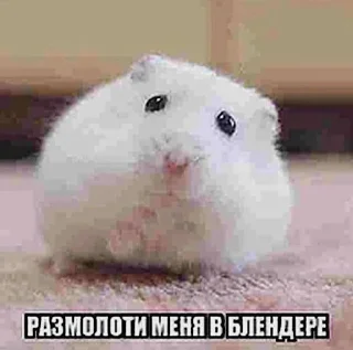 😅 emoji ебучие животные @ceaselstick Telegram sticker 17 of 120