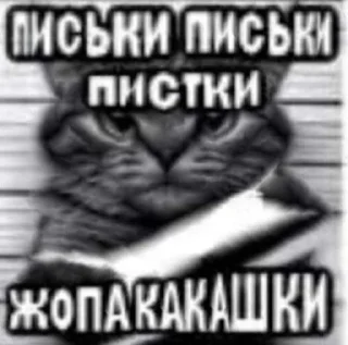 🫣 emoji ебучие животные @ceaselstick Telegram sticker 8 of 120