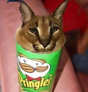 🗑️ emoji шлеп моя жена. Telegram sticker 10 of 15