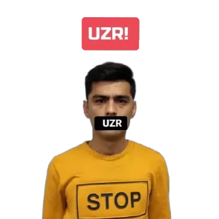 😐 emoji Mirshakar aka Telegram sticker 16 of 22