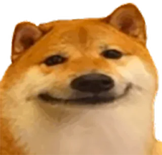 🙂 emoji [LF] PGR Discord Telegram sticker 23 of 52