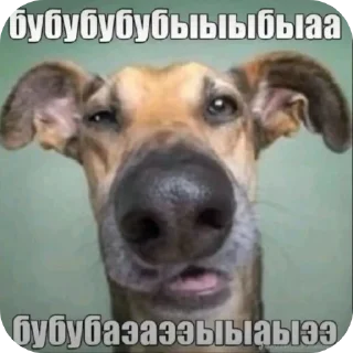 🐶 emoji Мемный чайник Telegram sticker 1 of 11