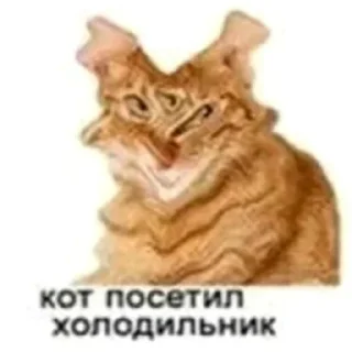 🙂 emoji кот спит Telegram sticker 13 of 41
