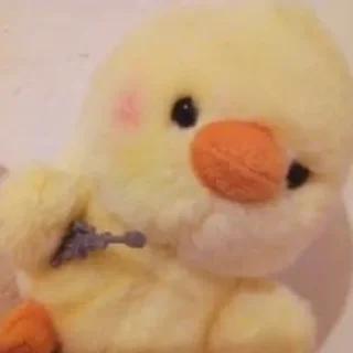 🔫 emoji Duck or not Telegram sticker 8 of 115