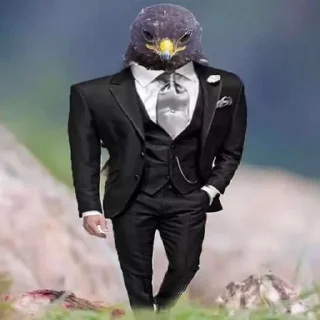 👔 emoji Duck or not Telegram sticker 24 of 115