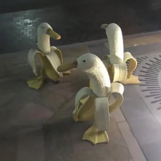 🍌 emoji Duck or not Telegram sticker 20 of 115