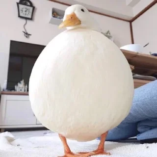🦆 emoji Duck or not Telegram sticker 21 of 115