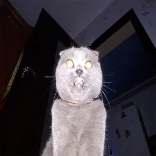 🤯 emoji Господин Мартин Telegram sticker 19 of 59