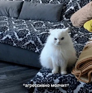 😒 emoji Котя Telegram sticker 19 of 120