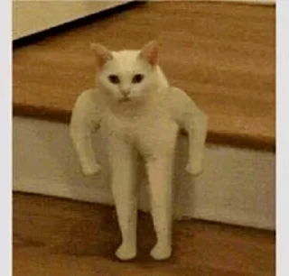 👊 emoji Котя Telegram sticker 10 of 120
