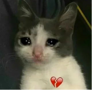 💔 emoji котя — @stckrRobot Telegram sticker 23 of 100
