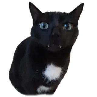 😔 emoji Котя Telegram sticker 13 of 32