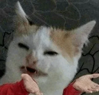 💁 emoji Котя Telegram sticker 14 of 120
